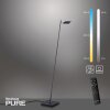 Paul Neuhaus PURE-MIRA Staande lamp LED Zwart, 1-licht, Afstandsbediening