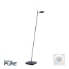 Paul Neuhaus PURE-MIRA Staande lamp LED Zwart, 1-licht, Afstandsbediening