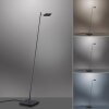 Paul Neuhaus PURE-MIRA Staande lamp LED Zwart, 1-licht, Afstandsbediening