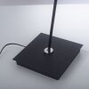 Paul Neuhaus PURE-MIRA Staande lamp LED Zwart, 1-licht, Afstandsbediening