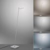 Paul Neuhaus PURE-MIRA Staande lamp LED Aluminium, 1-licht, Afstandsbediening