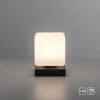 Paul Neuhaus DADOA Tafellamp LED Antraciet, 1-licht