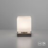 Paul Neuhaus DADOA Tafellamp LED Staal geborsteld, 1-licht