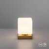 Paul Neuhaus DADOA Tafellamp LED Messing, 1-licht