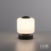 Paul Neuhaus BOTA Tafellamp LED Antraciet, 1-licht