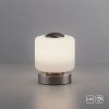 Paul Neuhaus BOTA Tafellamp LED Staal geborsteld, 1-licht