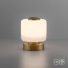 Paul Neuhaus BOTA Tafellamp LED Messing, 1-licht