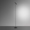 Paul Neuhaus PURE-TUTUA Staande lamp LED Zwart, 1-licht