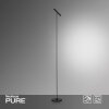 Paul Neuhaus PURE-TUTUA Staande lamp LED Zwart, 1-licht