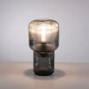 Paul Neuhaus MASHI Tafellamp Rookkleurig, 1-licht