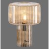 Paul Neuhaus FUNGUS Tafellamp Amber, 1-licht