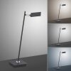 Paul Neuhaus PURE-MIRA Tafellamp LED Zwart, 1-licht, Afstandsbediening