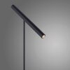 Paul Neuhaus PURE-TUTUA Tafellamp LED Zwart, 1-licht