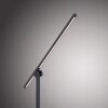Paul Neuhaus PURE-GRAFO Tafellamp LED Zwart, 1-licht