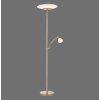 Paul Neuhaus TROJA Uplighter LED Messing, 1-licht