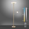 Paul Neuhaus TROJA Uplighter LED Messing, 1-licht