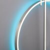 Paul Neuhaus Q-ARKOA Plafondlamp LED Staal geborsteld, 1-licht, Afstandsbediening, Kleurwisselaar