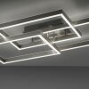 Paul Neuhaus PAAN Plafondlamp LED Staal geborsteld, 1-licht, Afstandsbediening