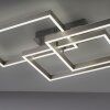 Paul Neuhaus PAAN Plafondlamp LED Staal geborsteld, 1-licht, Afstandsbediening