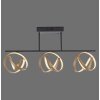 Paul Neuhaus LOOP Plafondlamp LED Messing, Zwart, 3-lichts, Afstandsbediening