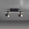 Paul Neuhaus BARIK Plafondlamp LED Zwart, 2-lichts