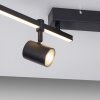 Paul Neuhaus BARIK Plafondlamp LED Zwart, 4-lichts