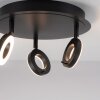Paul Neuhaus SILEDA Plafondlamp Antraciet, 3-lichts