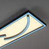 Paul Neuhaus SERPENT Plafondlamp LED Zwart, 1-licht, Afstandsbediening, Kleurwisselaar
