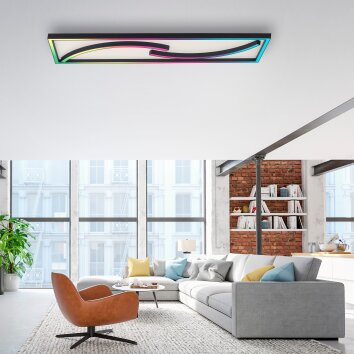 Paul Neuhaus SERPENT Plafondlamp LED Zwart, 1-licht, Afstandsbediening, Kleurwisselaar