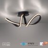 Paul Neuhaus BRILLA Plafondlamp LED Zwart, 1-licht