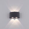 Paul Neuhaus CARLO Muurlamp LED Antraciet, 4-lichts