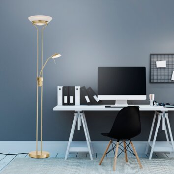 Leuchten-Direkt ZAHARA Uplighter LED Messing, 2-lichts