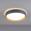 Leuchten-Direkt EMILIA Plafondlamp LED Grijs, Natuurlijke kleuren, 1-licht