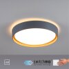 Leuchten-Direkt EMILIA Plafondlamp LED Grijs, Natuurlijke kleuren, 1-licht