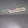 Leuchten-Direkt FELIX60 Plafondlamp LED Staal geborsteld, 2-lichts, Afstandsbediening, Kleurwisselaar