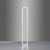Leuchten-Direkt FELIX60 Staande lamp LED Staal geborsteld, 2-lichts, Afstandsbediening, Kleurwisselaar