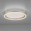 Leuchten-Direkt RITUS Plafondlamp LED Messing, 1-licht