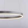 Leuchten-Direkt RITUS Hanger LED Aluminium, 1-licht