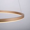 Leuchten-Direkt RITUS Hanger LED Messing, 1-licht