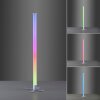 Leuchten-Direkt RINGO Staande lamp LED Zilver, 1-licht, Afstandsbediening, Kleurwisselaar
