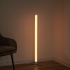Leuchten-Direkt RINGO Staande lamp LED Zilver, 1-licht, Afstandsbediening, Kleurwisselaar