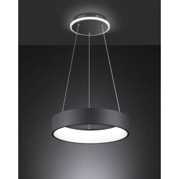Wofi-Leuchten SHAY Hanglamp LED Zwart, 1-licht