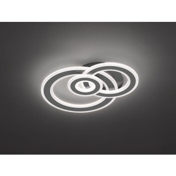 Wofi-Leuchten RIO Plafondlamp LED Grijs, 3-lichts