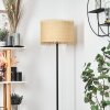Chenevrey Staande lamp Zwart, 1-licht