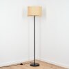 Chenevrey Staande lamp Zwart, 1-licht