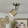Neves Plafondlamp Messing, 1-licht