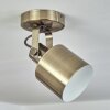 Neves Plafondlamp Messing, 1-licht