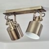 Neves Plafondlamp Messing, 2-lichts