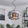 Feiro Hanglamp Zwart, 1-licht