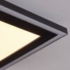 Audrieu Plafondpaneel LED Zwart, 2-lichts